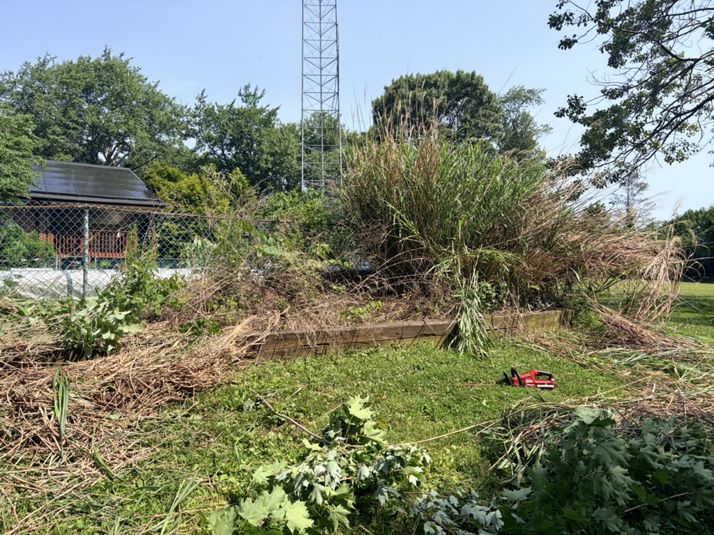 Overgrown garden bed with tall weeds, debris, and brush before cleanup in North Jersey