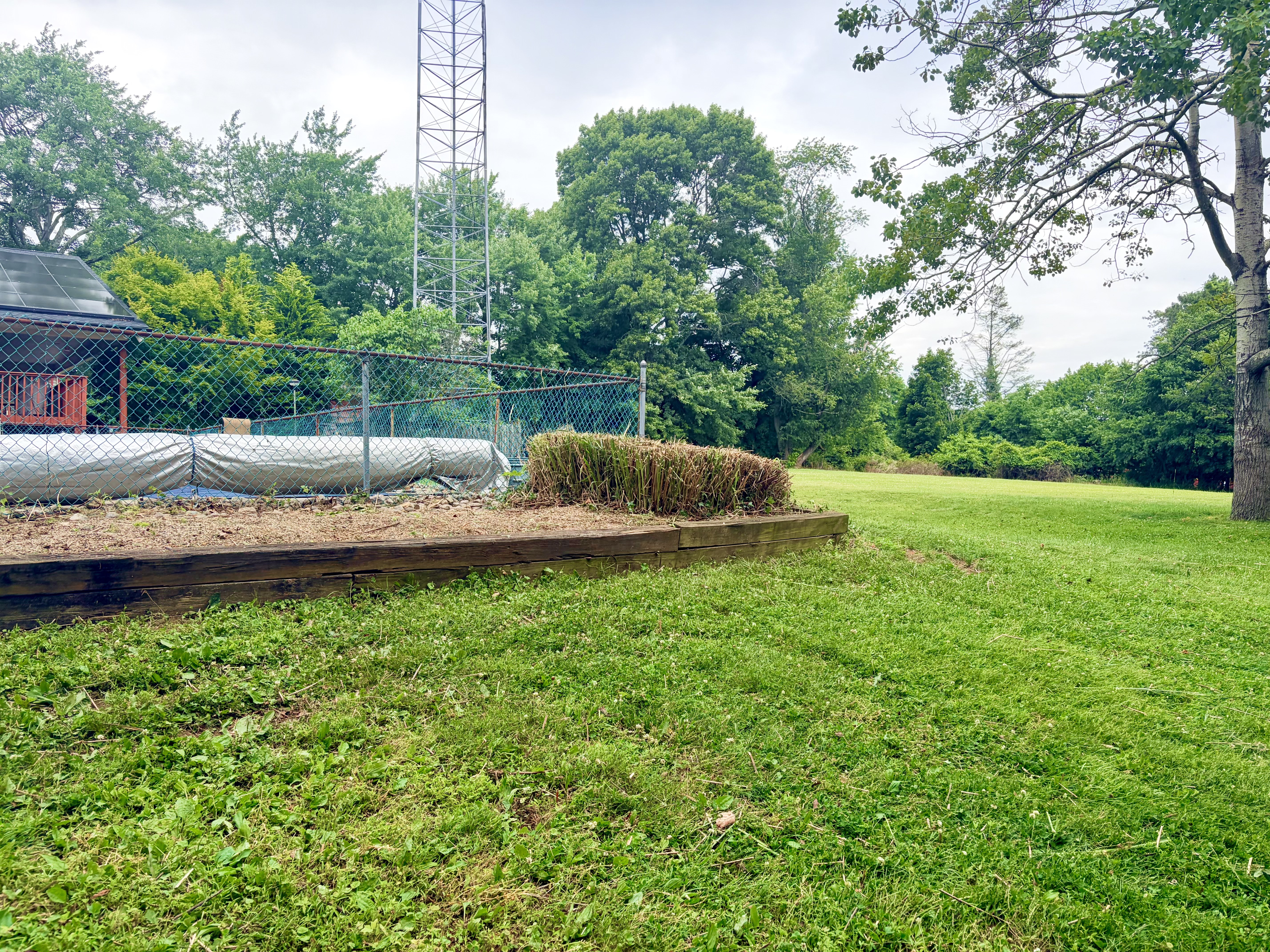 Same garden bed after full cleanup, weeding, and brush removal by The Weed Whackers crew